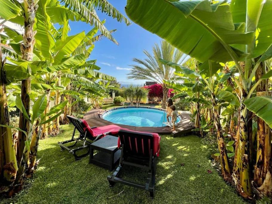 Private Pool Apt. With Great View Фуншал Екстериор снимка